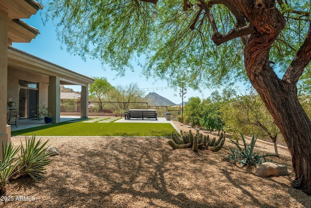 view of yard featuring a patio