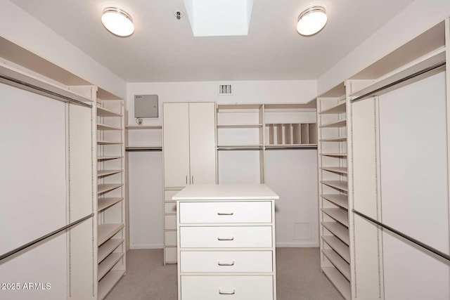 spacious closet with light colored carpet