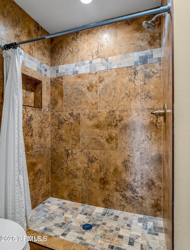 2800 N Saddleback Way Unit 2, Flagstaff, AZ 86004 - full bathroom with toilet and a tile shower