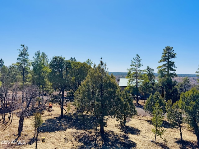 view of landscape