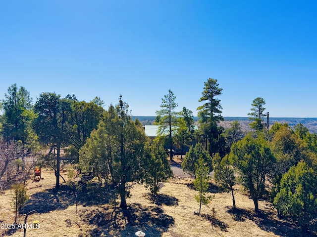 view of landscape