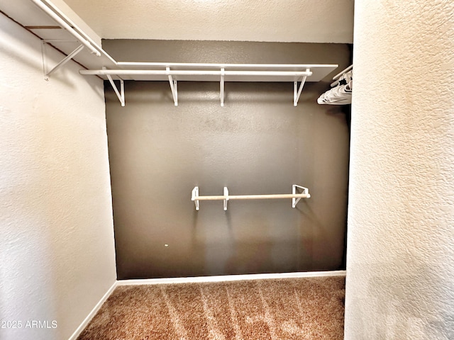 walk in closet featuring carpet flooring