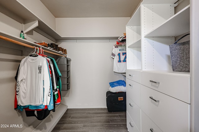 walk in closet featuring dark hardwood / wood-style flooring