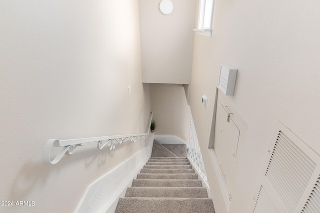 stairway with carpet flooring