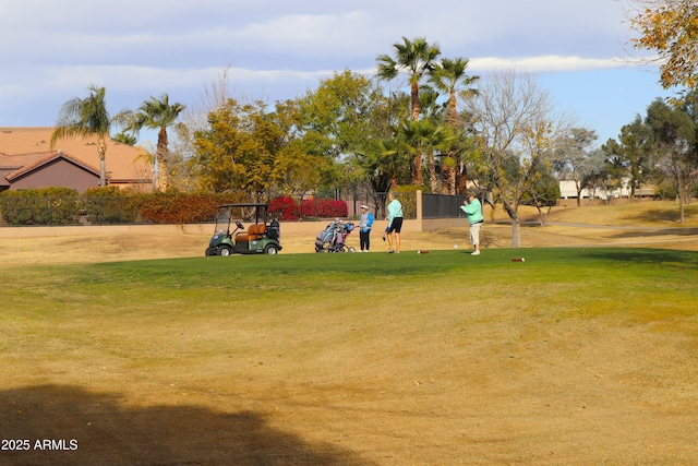 view of home's community with a yard