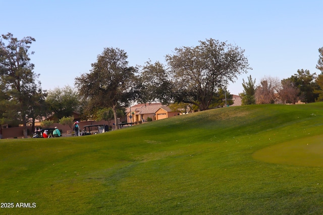 view of community featuring a yard