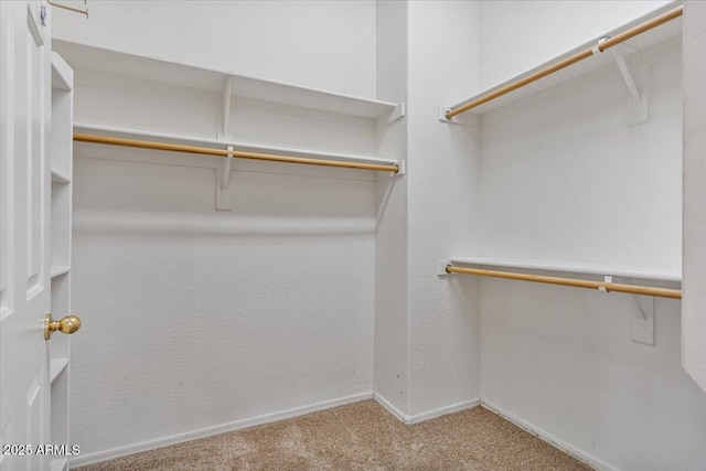 spacious closet with carpet