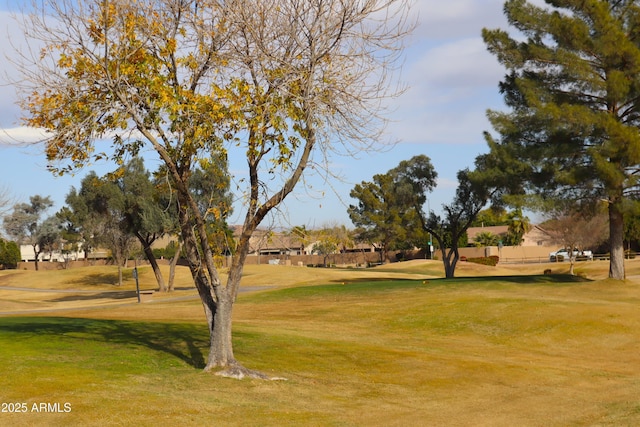 view of property's community featuring a yard