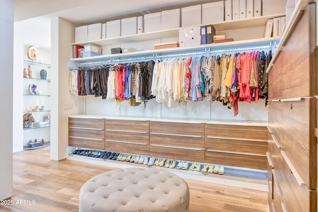 walk in closet featuring wood finished floors