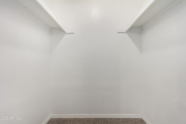 spacious closet with carpet