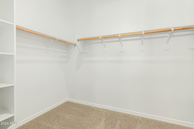 spacious closet with carpet flooring