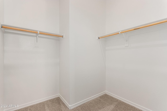 walk in closet with carpet flooring