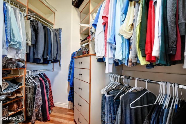 spacious closet with light wood-type flooring