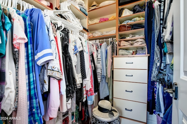 view of walk in closet