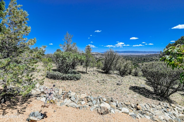 exterior space featuring a mountain view