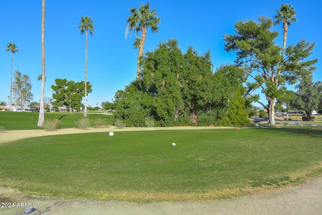 view of community featuring a lawn