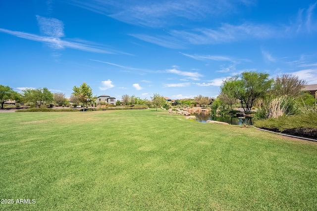 5012 S Girard St, Gilbert, AZ 85298 - view of yard