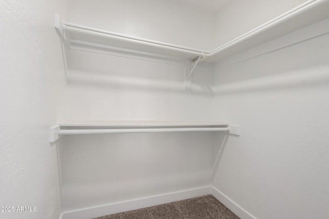 spacious closet with carpet