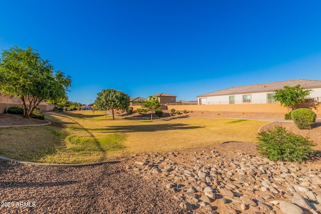 1005 W Lincoln Ave, Coolidge, AZ 85128 - view of yard