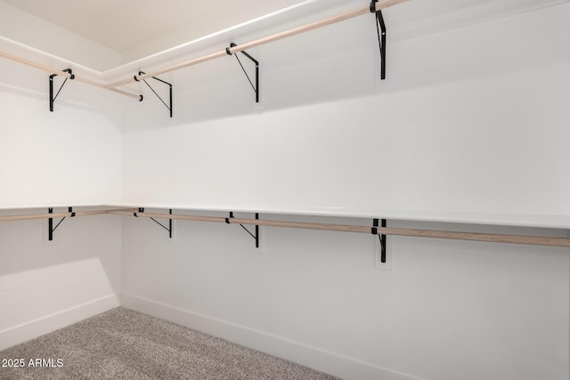 walk in closet with carpet