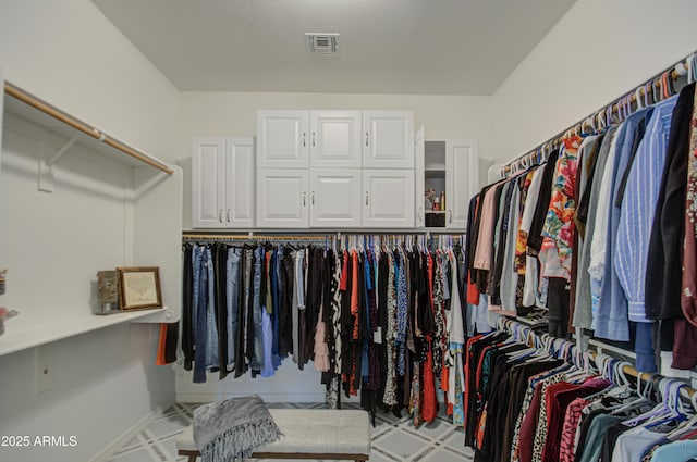 view of spacious closet