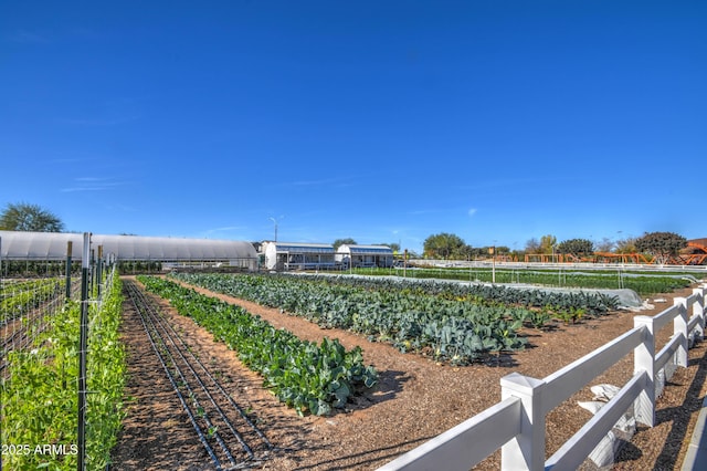 view of yard featuring a rural view