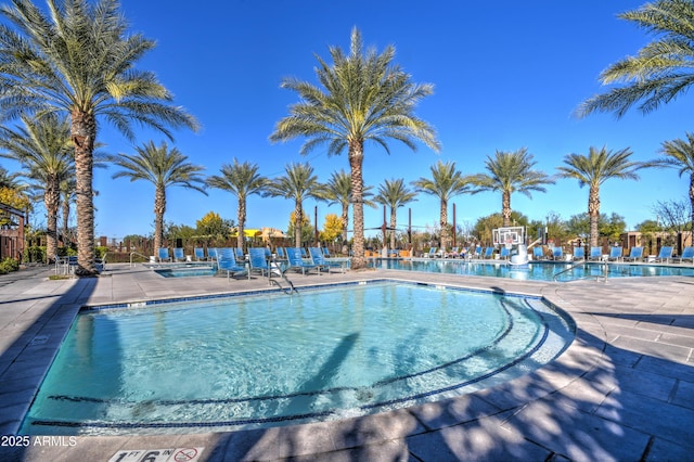 view of pool featuring a patio