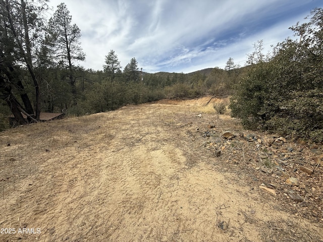 23064 S Gladiator Mine Rd -, Unit Crown King AZ, 86343 land for sale