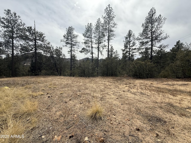 Listing photo 3 for 23064 S Gladiator Mine Rd -, Unit Crown King AZ 86343