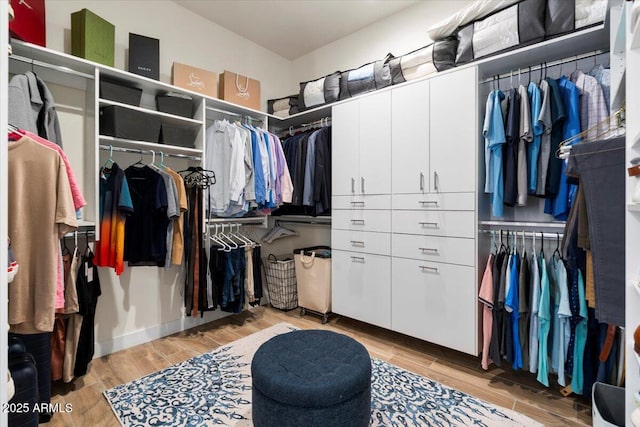 17146 W Mountainair St, Surprise, AZ 85388 - walk in closet featuring light wood finished floors