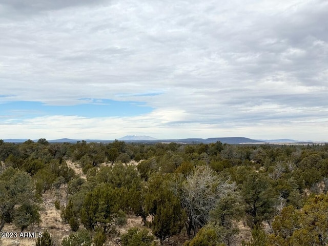 view of mother earth's splendor