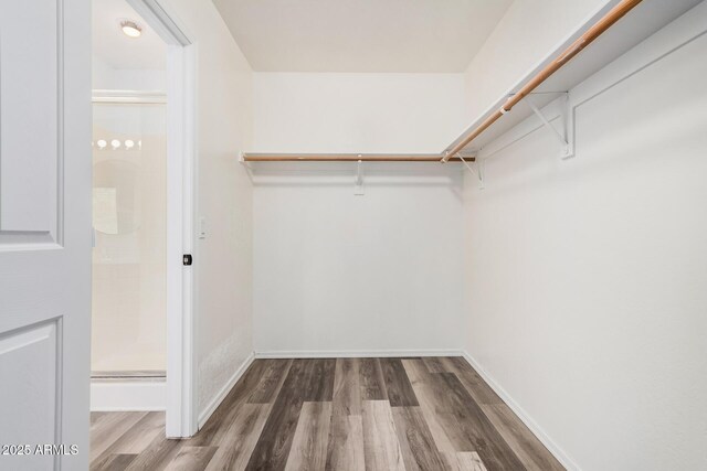 spacious closet featuring wood finished floors