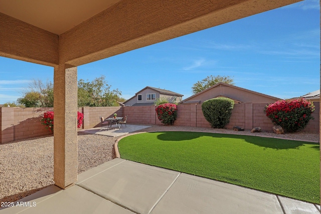 view of yard with a patio area and a fenced backyard