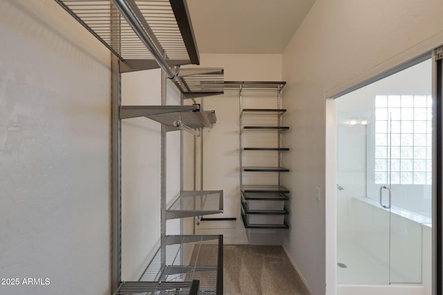 spacious closet with carpet