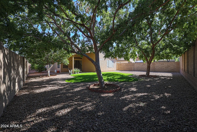 view of yard with a patio