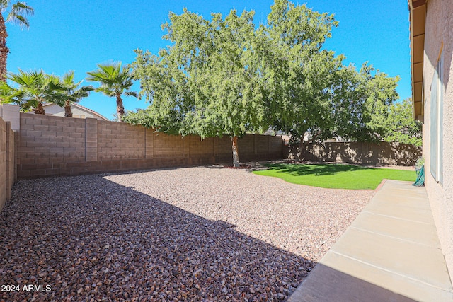 view of yard with a patio