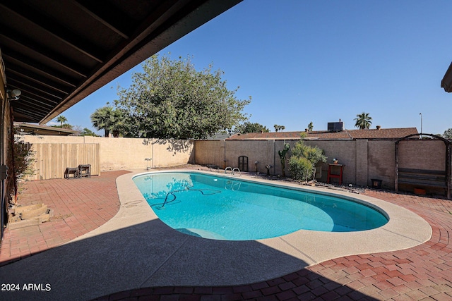 view of pool with a patio area