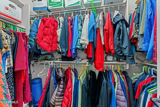 view of spacious closet