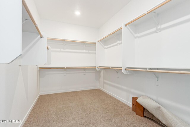 spacious closet with light colored carpet