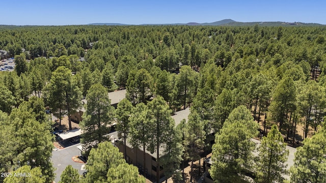 1185 W University Ave Unit 213, Flagstaff, AZ 86001 - drone / aerial view of a heavily wooded area