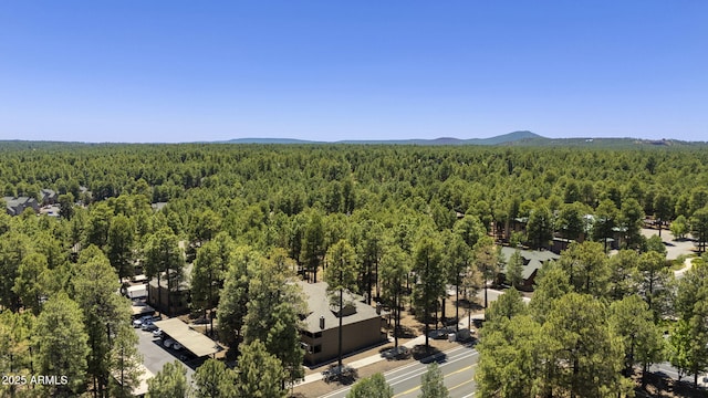 1185 W University Ave Unit 213, Flagstaff, AZ 86001 - drone / aerial view of a forest