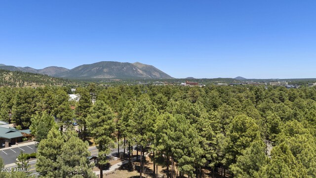 1185 W University Ave Unit 213, Flagstaff, AZ 86001 - mountain view featuring a heavily wooded area