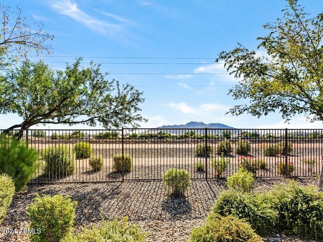 view of yard featuring a mountain view