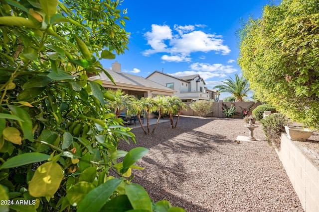 view of yard with a patio