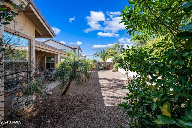 view of yard with a patio