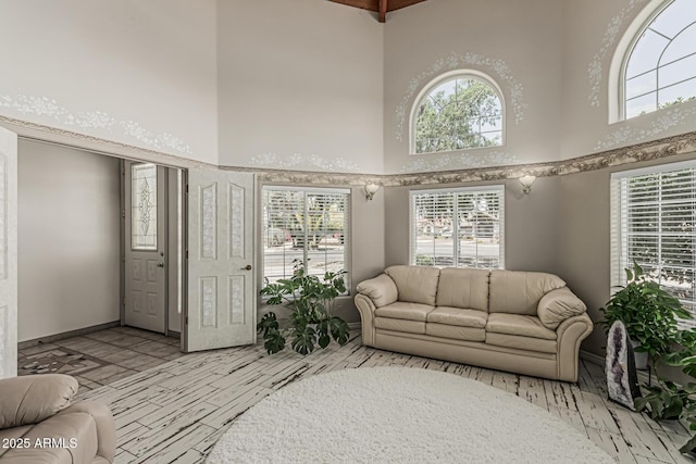 living room featuring a high ceiling and wood finished floors