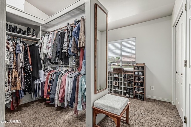 walk in closet featuring carpet