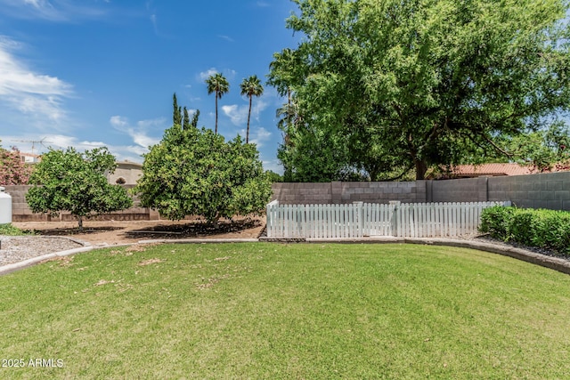 view of yard with a fenced backyard