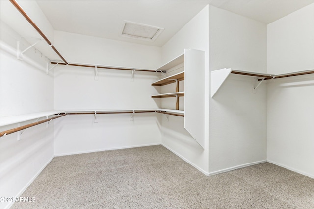 walk in closet featuring light carpet