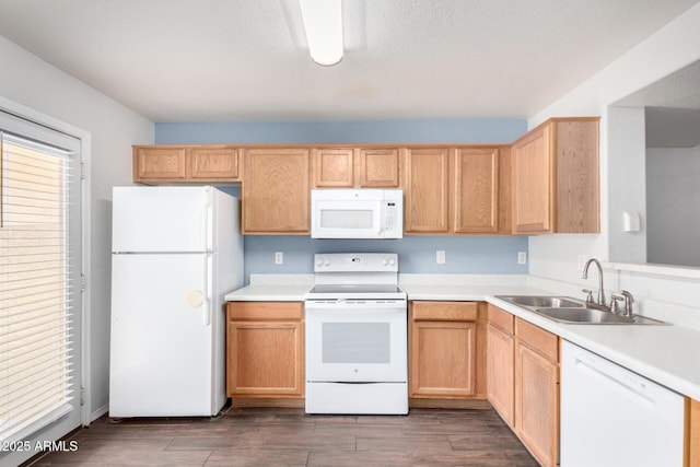 kitchen featuring white appliances, light countertops, dark wood-type flooring, and a sink